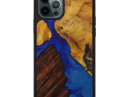 iPhone 12 Pro Max Wood+Resin Phone Case - Worley (Mosaic, 593432) For Cheap