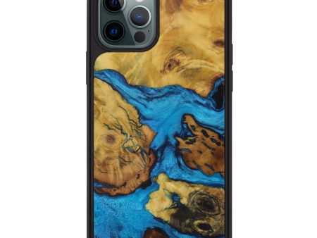 iPhone 12 Pro Wood+Resin Phone Case - Asia (Mosaic, 592128) Cheap